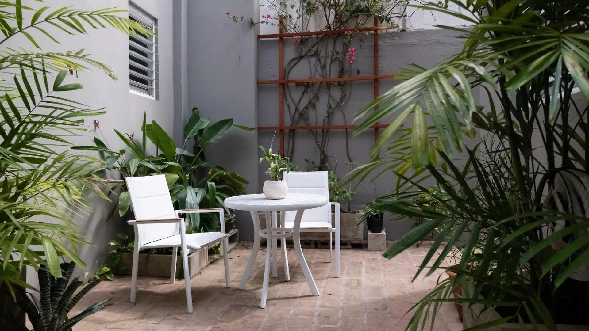 Apartment Seaside Caribbean Comfort - Between Beach And City San Juan